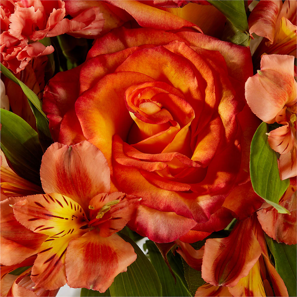Apricot Glow Bouquet –  Lynchburg Leo Wood Florist, Lynchburg VA