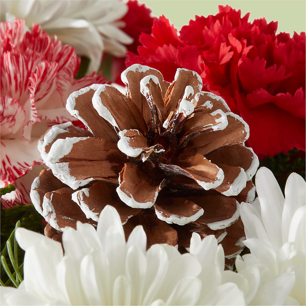 Candy Cane Lane Bouquet –  Lynchburg Leo Wood Florist, Lynchburg VA
