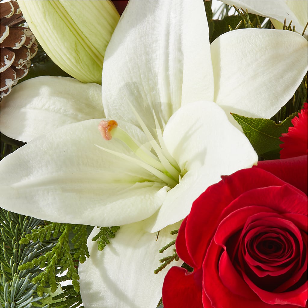 Oh So Jolly Bouquet –  Lynchburg Leo Wood Florist, Lynchburg VA