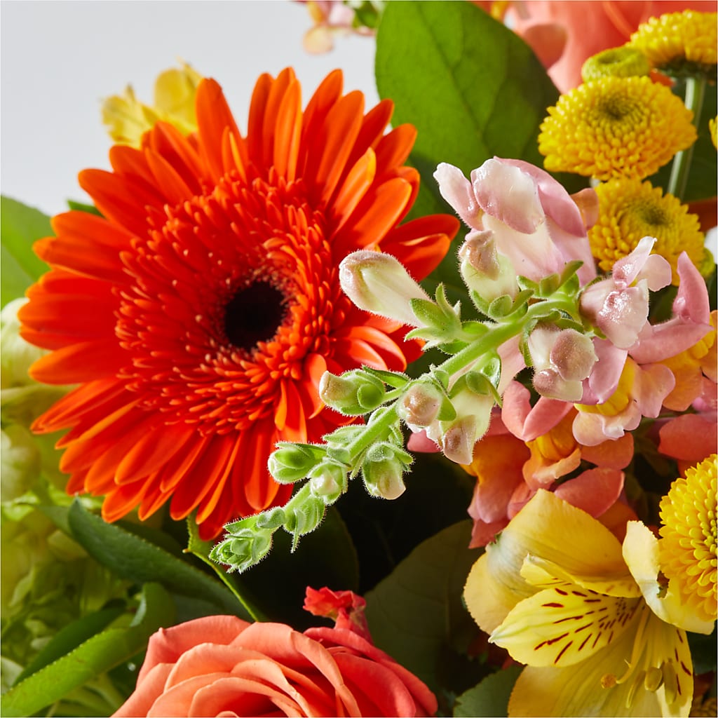 Autumn Sunshine Bouquet –  Lynchburg Leo Wood Florist, Lynchburg VA