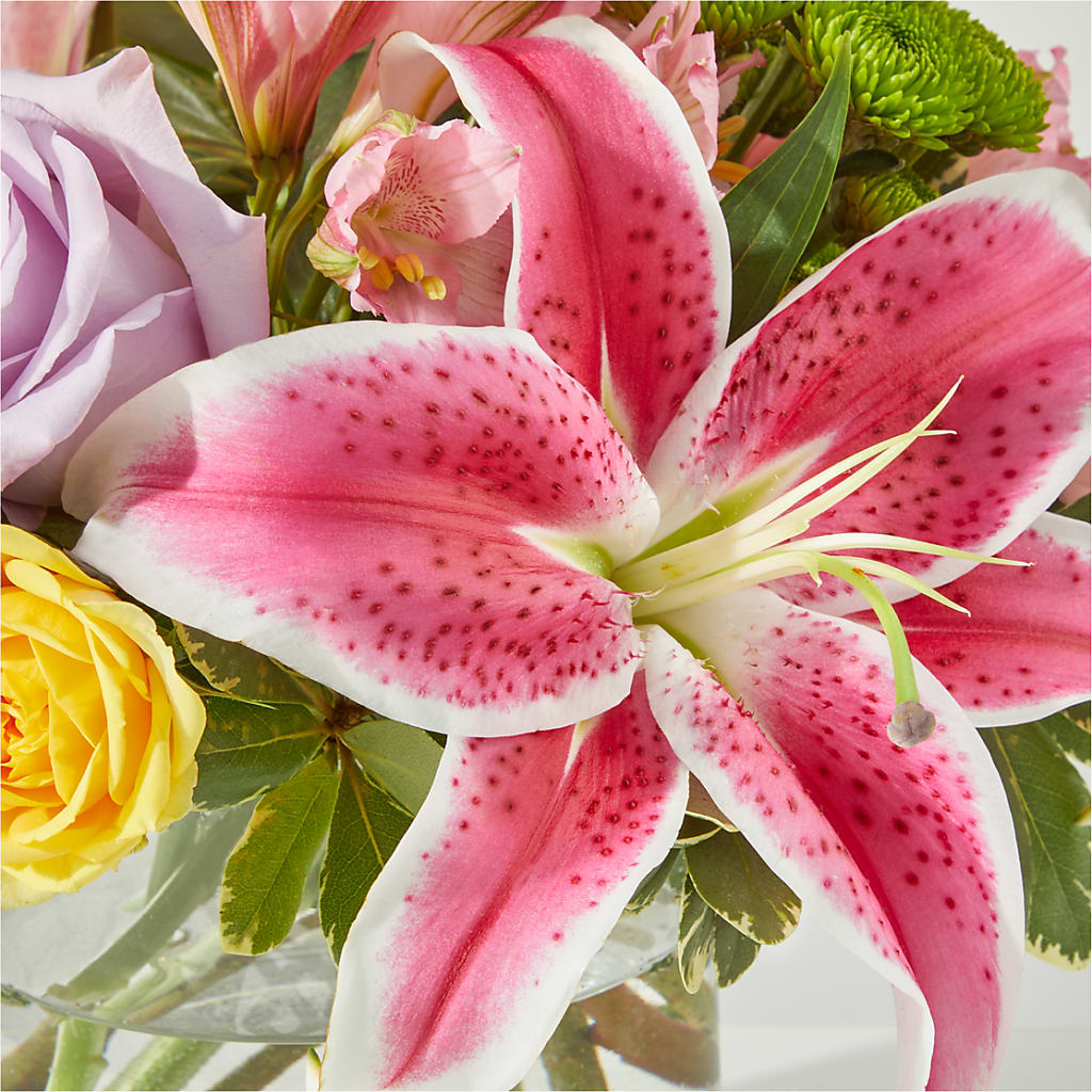 Serendipitous Blossoms Bouquet –  Lynchburg Leo Wood Florist, Lynchburg VA