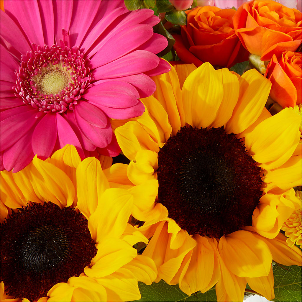 Beach Day Bouquet –  Lynchburg Leo Wood Florist, Lynchburg VA