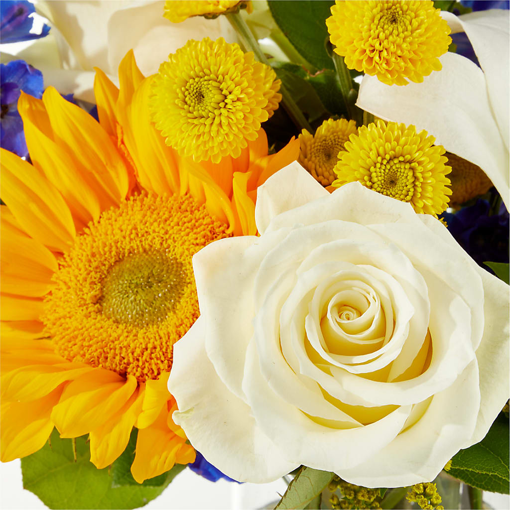 Stargazing Bouquet –  Lynchburg Leo Wood Florist, Lynchburg VA