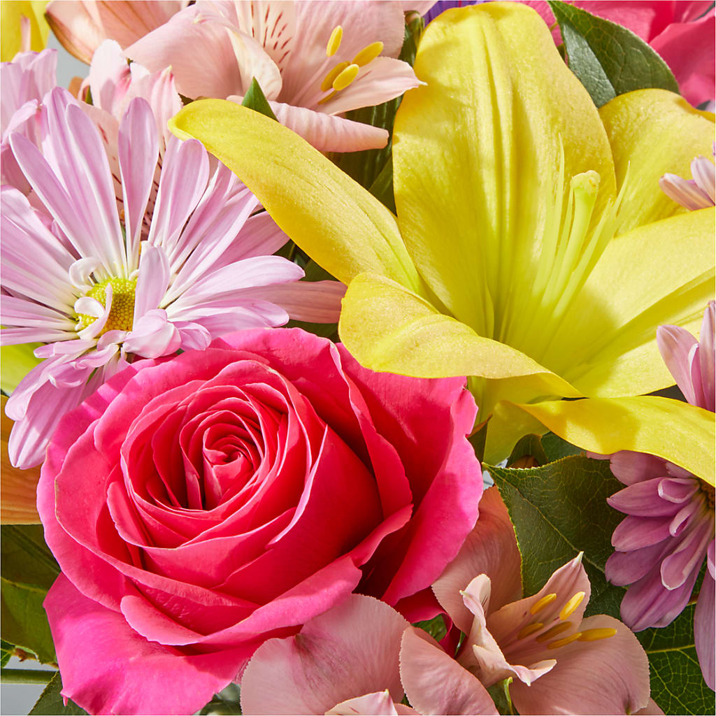 Sprinkles Bouquet –  Lynchburg Leo Wood Florist, Lynchburg VA