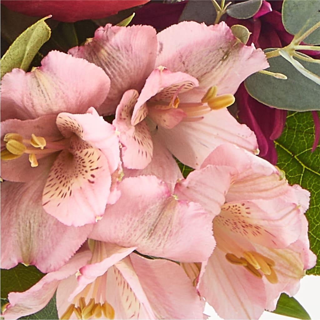 Berry Cobbler Bouquet –  Lynchburg Leo Wood Florist, Lynchburg VA