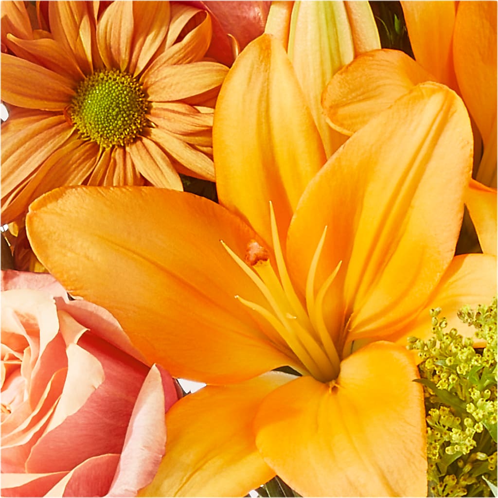 Harvest Hayride Bouquet –  Lynchburg Leo Wood Florist, Lynchburg VA