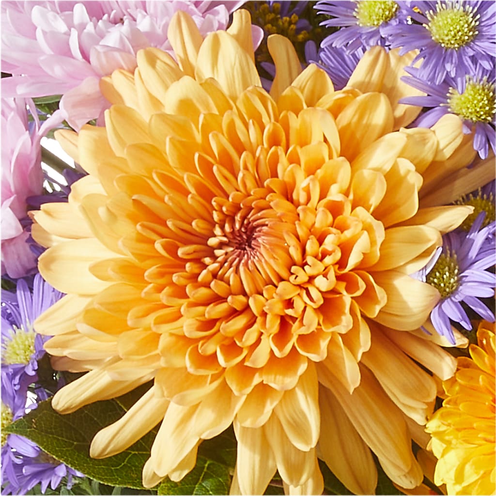 Countryside Bouquet –  Lynchburg Leo Wood Florist, Lynchburg VA