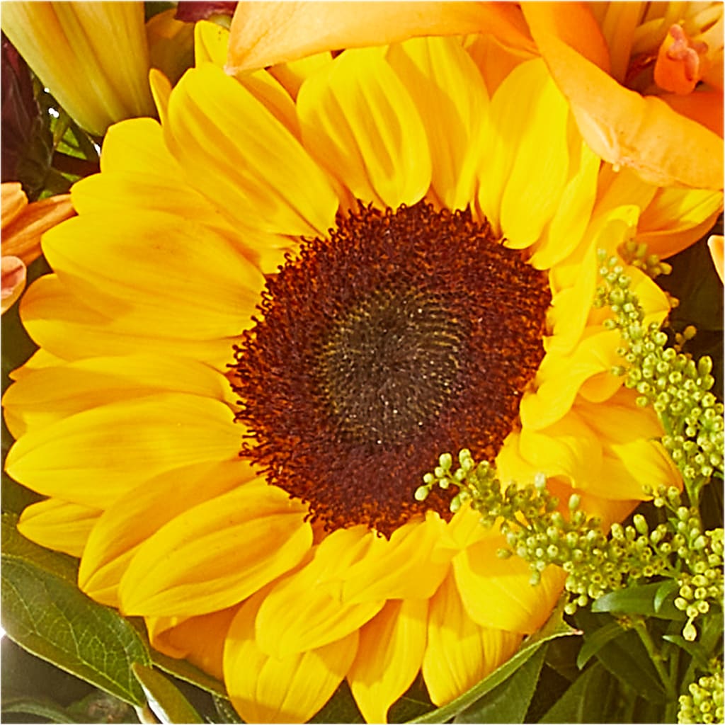 Seasons Change Bouquet –  Lynchburg Leo Wood Florist, Lynchburg VA
