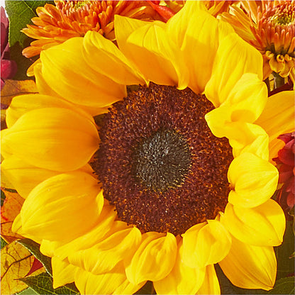 Sunny Side Bouquet –  Lynchburg Leo Wood Florist, Lynchburg VA