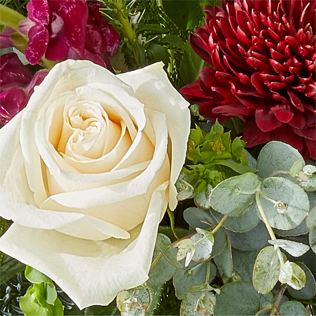 Cranberry Fizz Bouquet –  Lynchburg Leo Wood Florist, Lynchburg VA