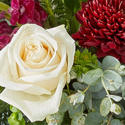 Cranberry Fizz Bouquet –  Lynchburg Leo Wood Florist, Lynchburg VA