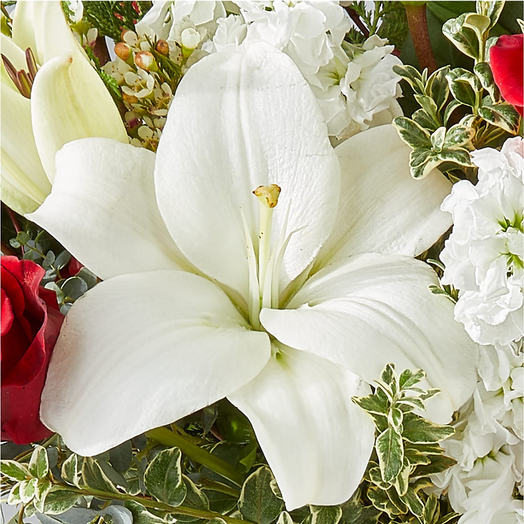 Twinkle Lights Bouquet –  Lynchburg Leo Wood Florist, Lynchburg VA