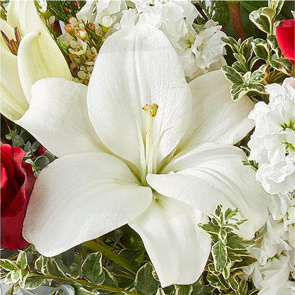 Twinkle Lights Bouquet –  Lynchburg Leo Wood Florist, Lynchburg VA