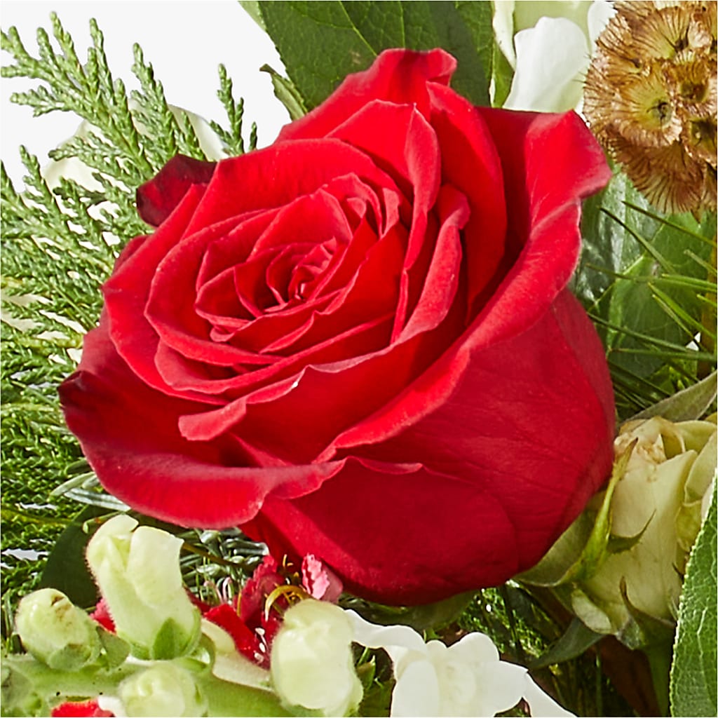 Deck the Halls Bouquet –  Lynchburg Leo Wood Florist, Lynchburg VA
