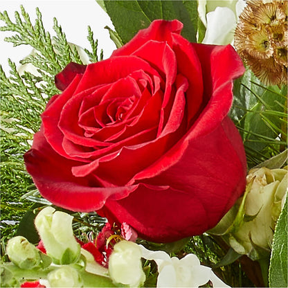 Deck the Halls Bouquet –  Lynchburg Leo Wood Florist, Lynchburg VA