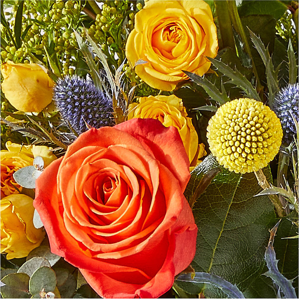 Disco Bouquet –  Lynchburg Leo Wood Florist, Lynchburg VA