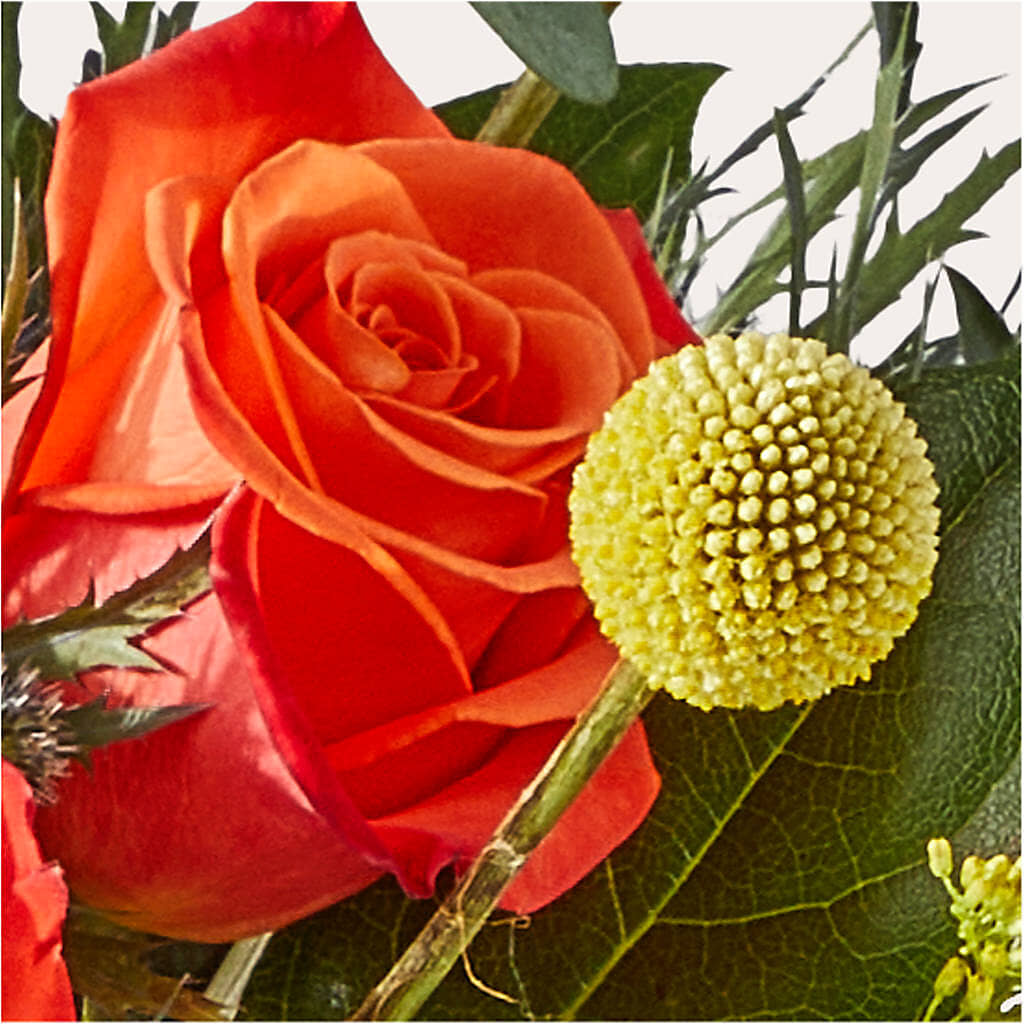 Disco Bouquet –  Lynchburg Leo Wood Florist, Lynchburg VA