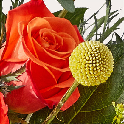 Disco Bouquet –  Lynchburg Leo Wood Florist, Lynchburg VA