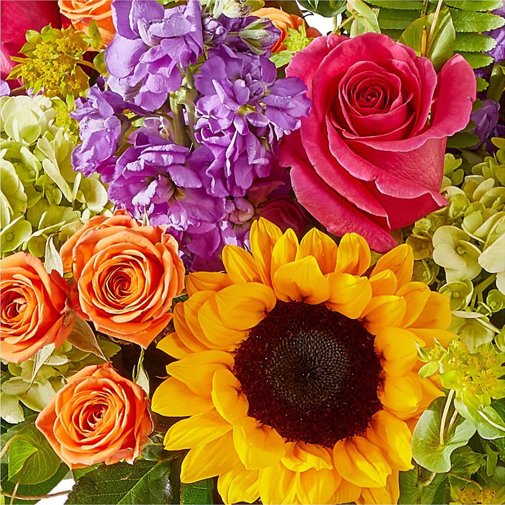 Vibrant Greetings Bouquet –  Lynchburg Leo Wood Florist, Lynchburg VA