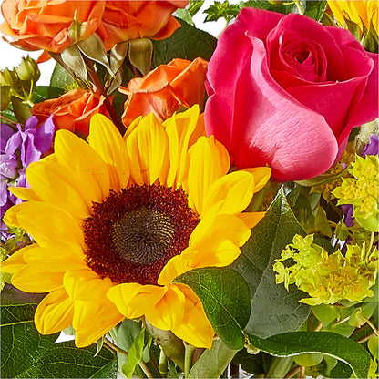 Vibrant Greetings Bouquet –  Lynchburg Leo Wood Florist, Lynchburg VA