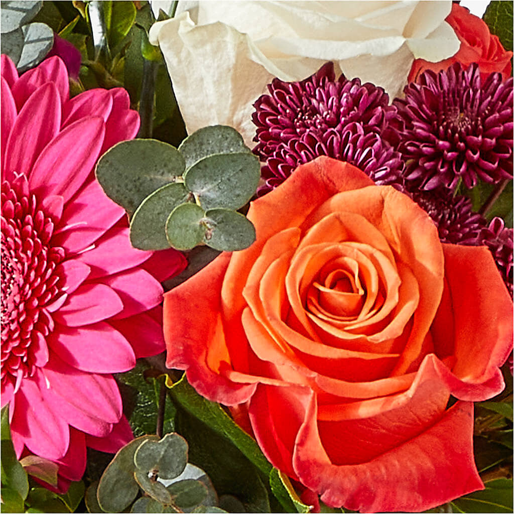 Smell the Roses Bouquet –  Lynchburg Leo Wood Florist, Lynchburg VA
