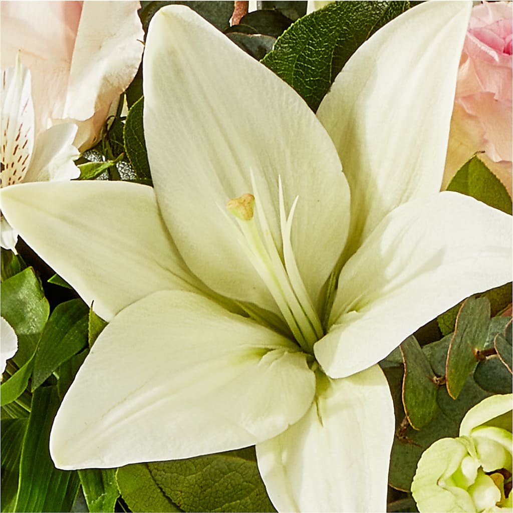 Ballet Slippers Bouquet –  Lynchburg Leo Wood Florist, Lynchburg VA