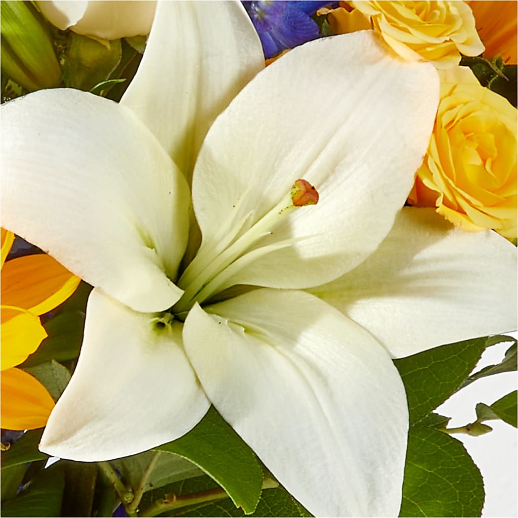 Wonderfully Sunny Bouquet –  Lynchburg Leo Wood Florist, Lynchburg VA