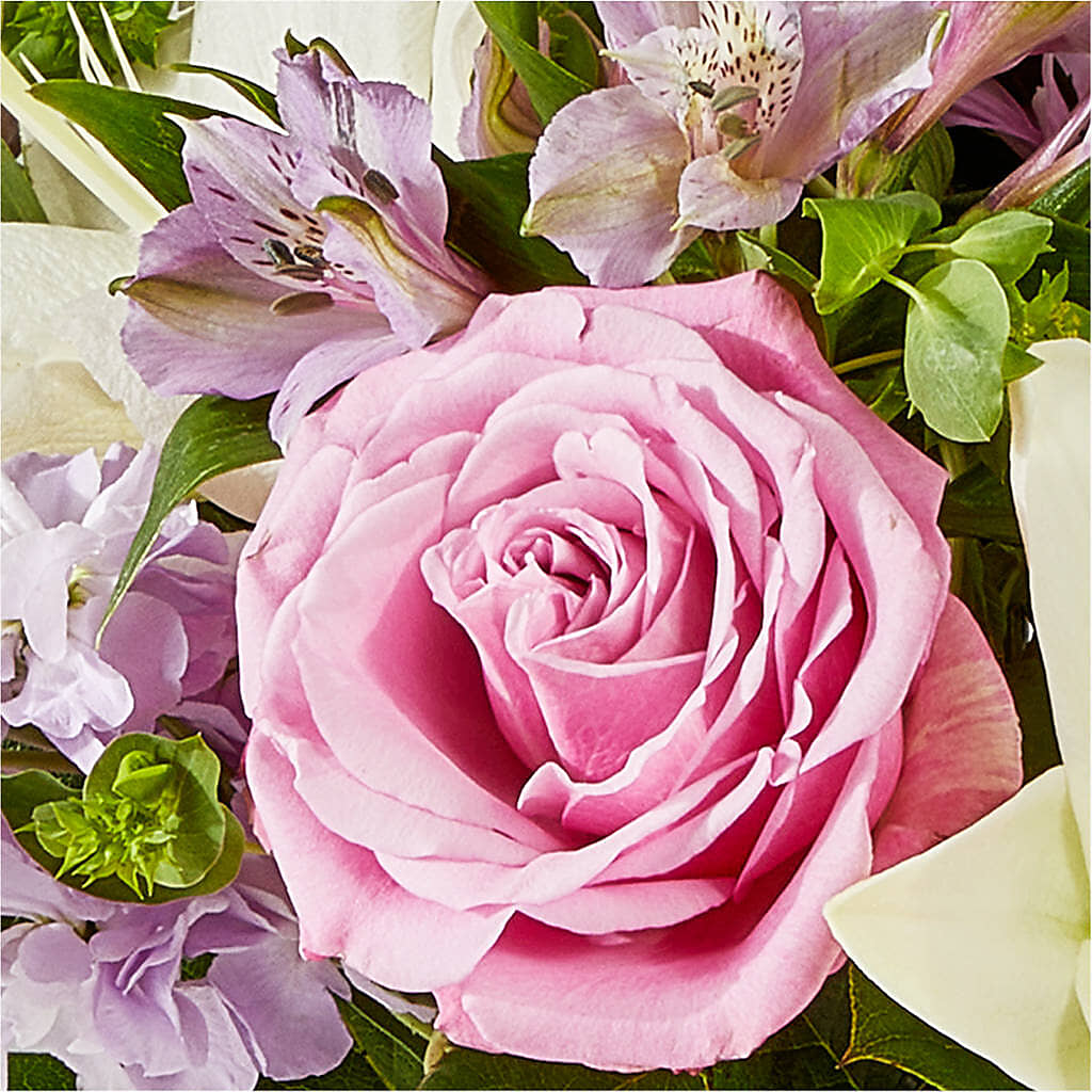 Daydreamer Bouquet –  Lynchburg Leo Wood Florist, Lynchburg VA