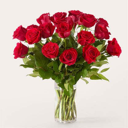 The One Red Rose Bouquet –  Lynchburg Leo Wood Florist, Lynchburg VA