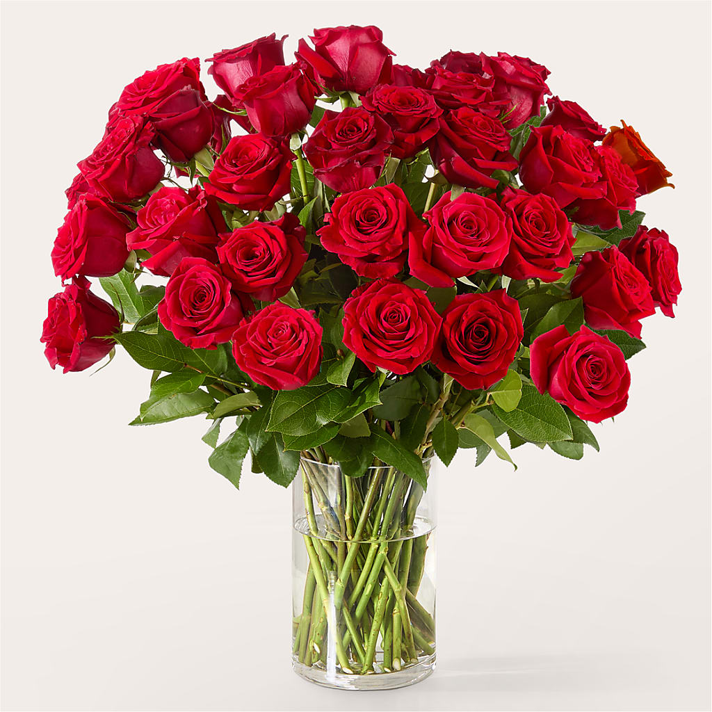 The One Red Rose Bouquet –  Lynchburg Leo Wood Florist, Lynchburg VA
