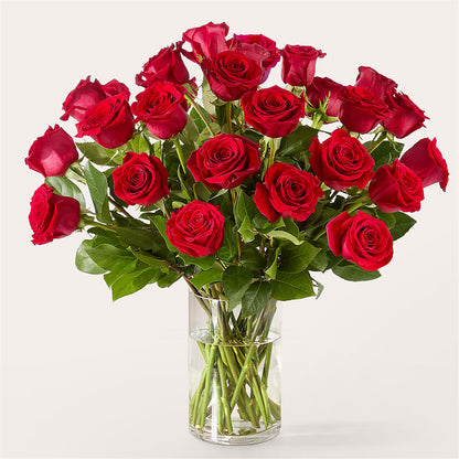 The One Red Rose Bouquet –  Lynchburg Leo Wood Florist, Lynchburg VA