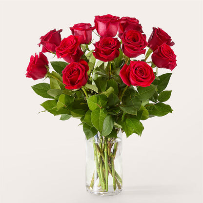 The One Red Rose Bouquet –  Lynchburg Leo Wood Florist, Lynchburg VA
