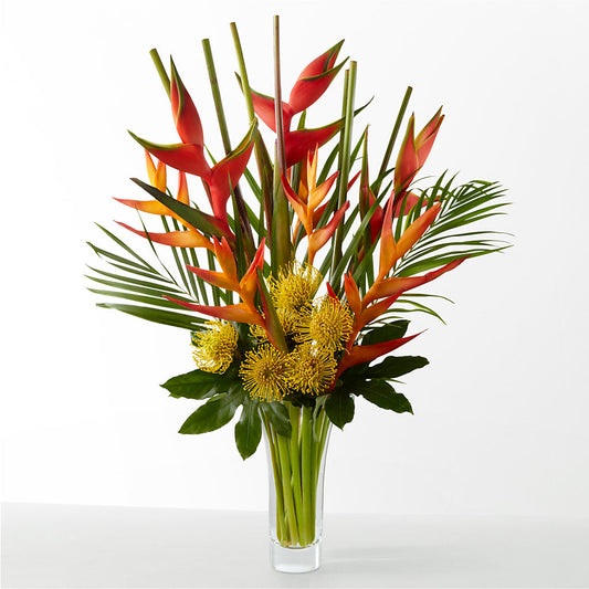 The Drama –  Lynchburg Leo Wood Florist, Lynchburg VA