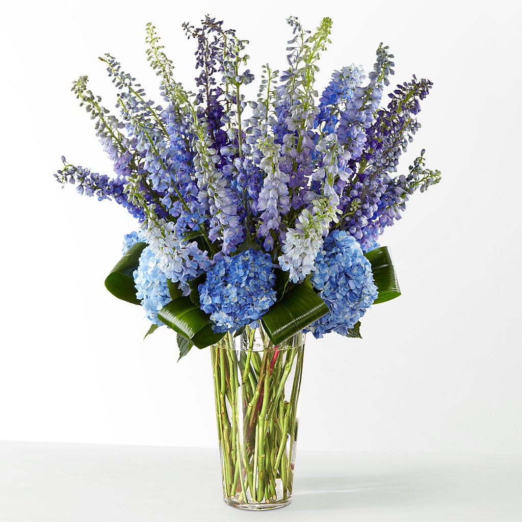 The Editorial –  Lynchburg Leo Wood Florist, Lynchburg VA