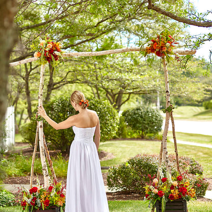 Arbor of Love Archway –  Lynchburg Leo Wood Florist, Lynchburg VA