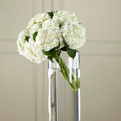 White Hydrangea Hand-Tied Bouquet –  Lynchburg Leo Wood Florist, Lynchburg VA