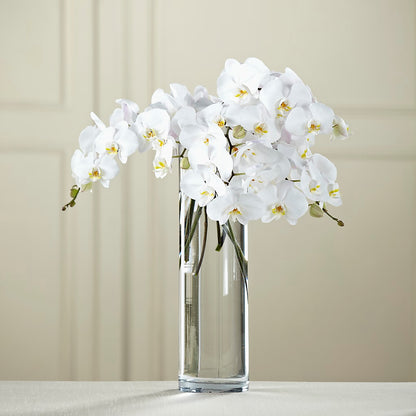 White Phalaenopsis Bouquet –  Lynchburg Leo Wood Florist, Lynchburg VA
